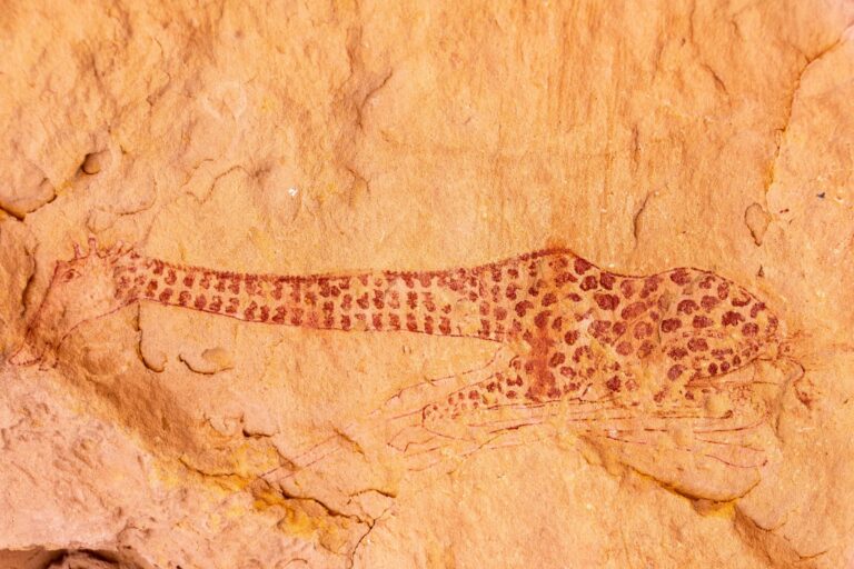 Ancient rock art of a giraffe in the Tassili n'Ajjer, Algeria