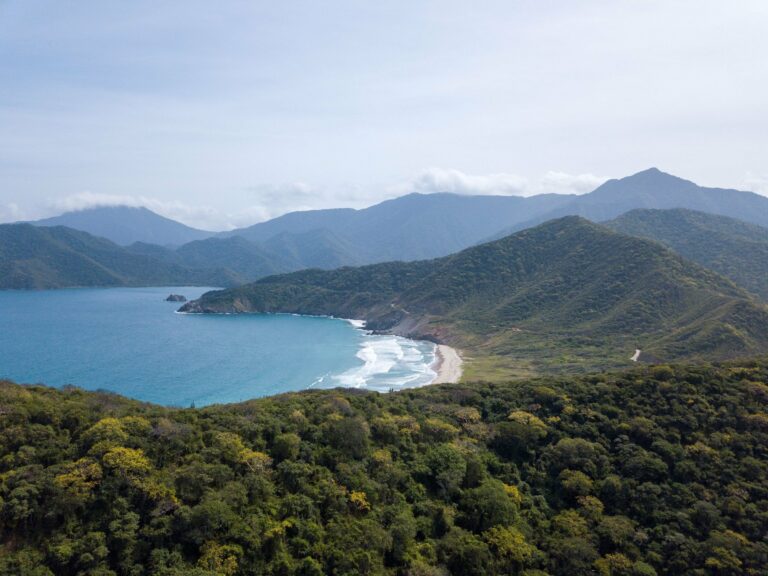 Tayrona National Park's coastline from above
