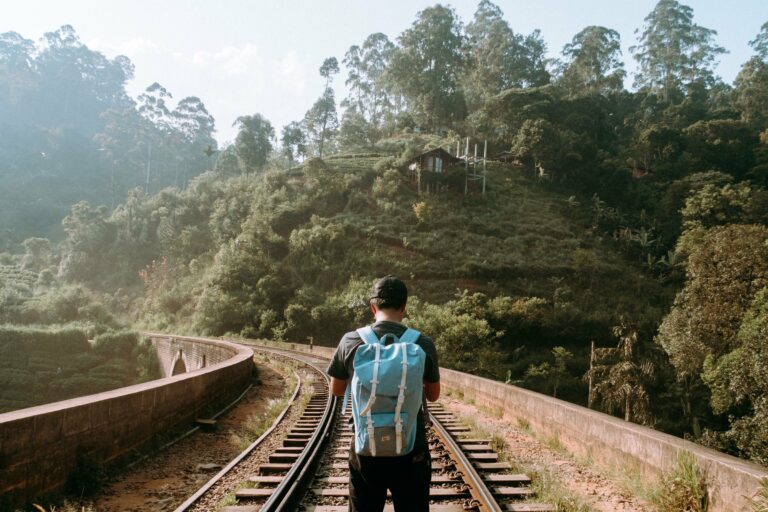 A walker on the railway in tea country