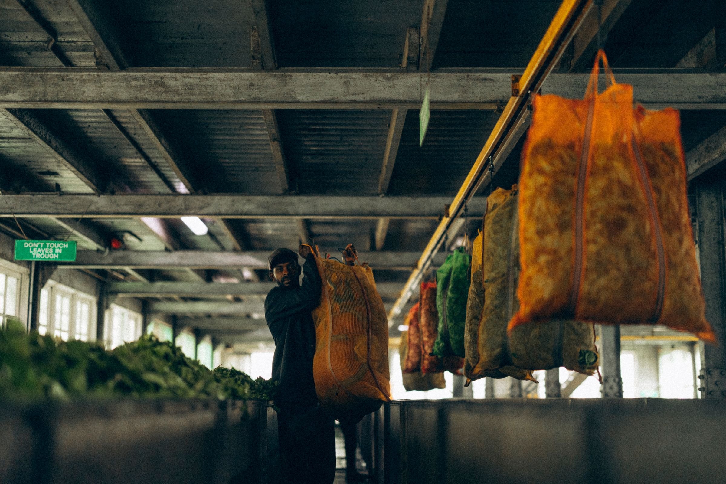 Inside a Sri Lankan tea factory