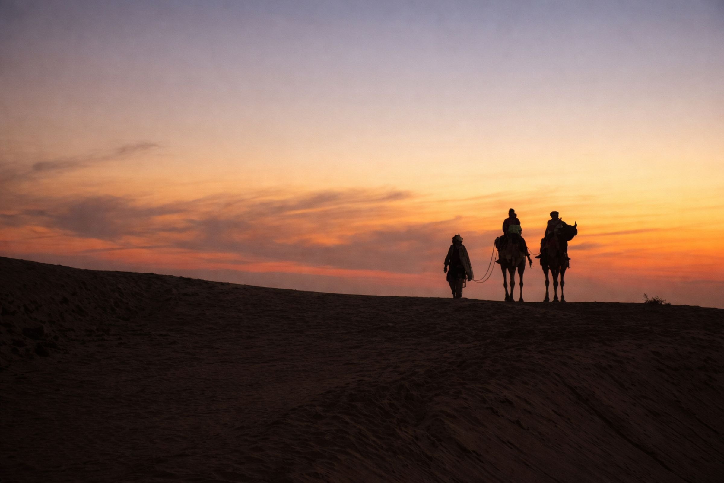 Camels and riders at sunset in the Thar Desert