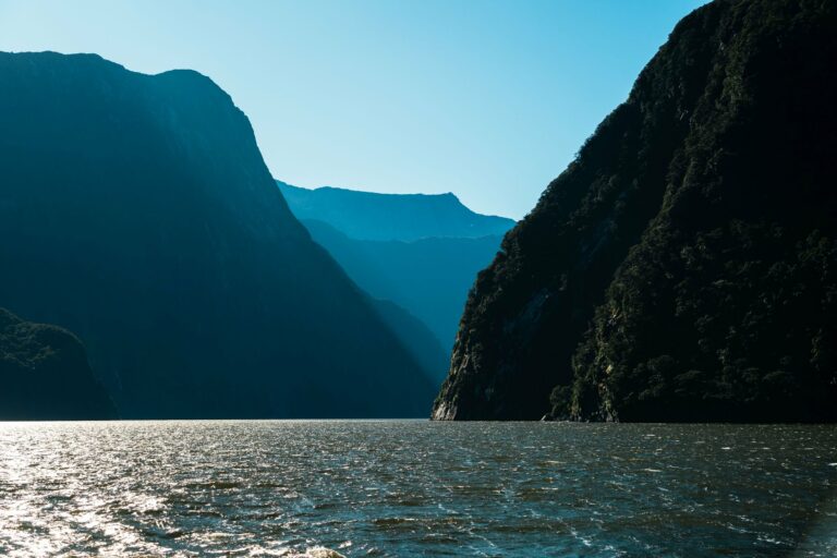 The fjord walls of Milford Sound