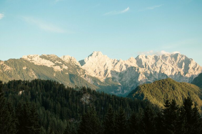 The Julian Alps above forest