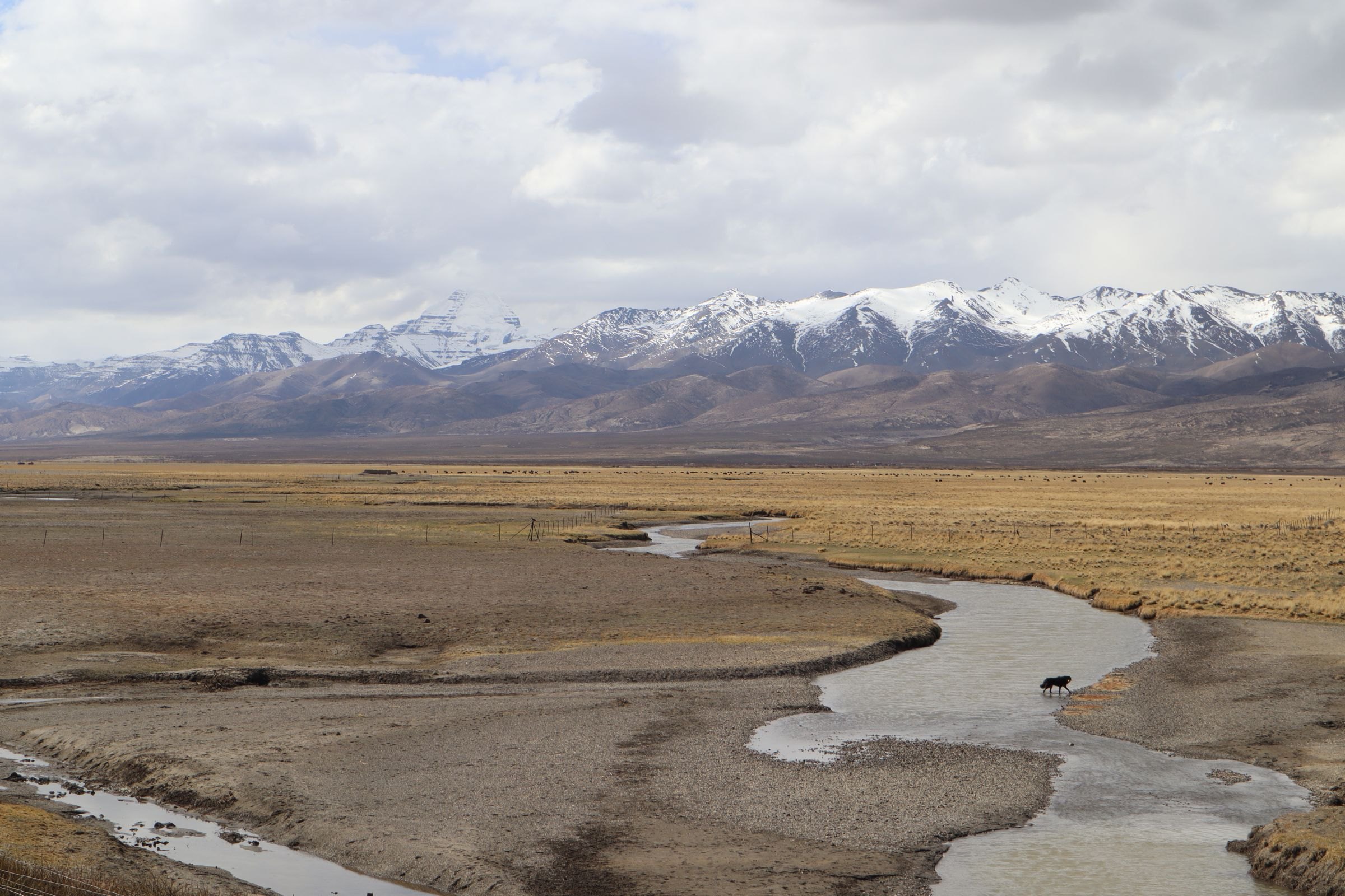 A stream across the Tibetan Plateau