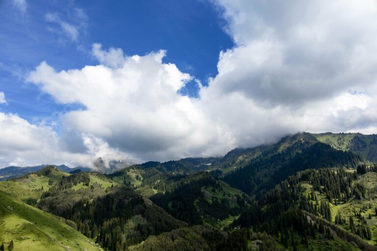 Green mountains of the Tien Shan near Almaty