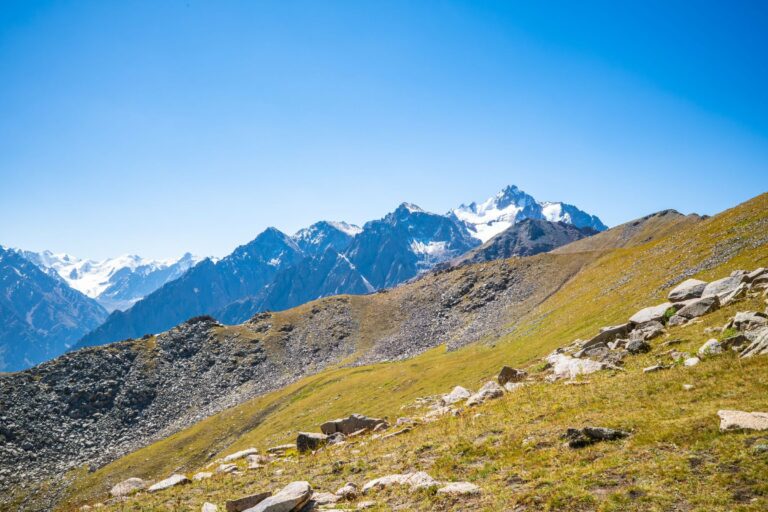 A mountain meadow below the Tien Shan