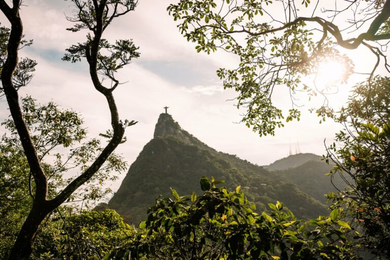 The view from the Tijuca forest