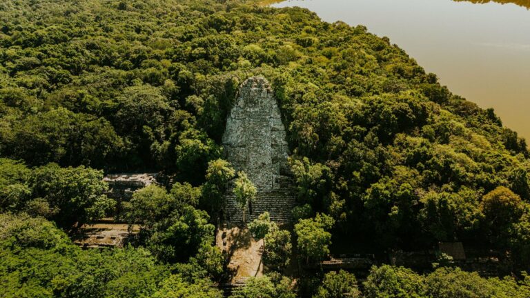 A Maya pyramid rising from the jungle at Tikal