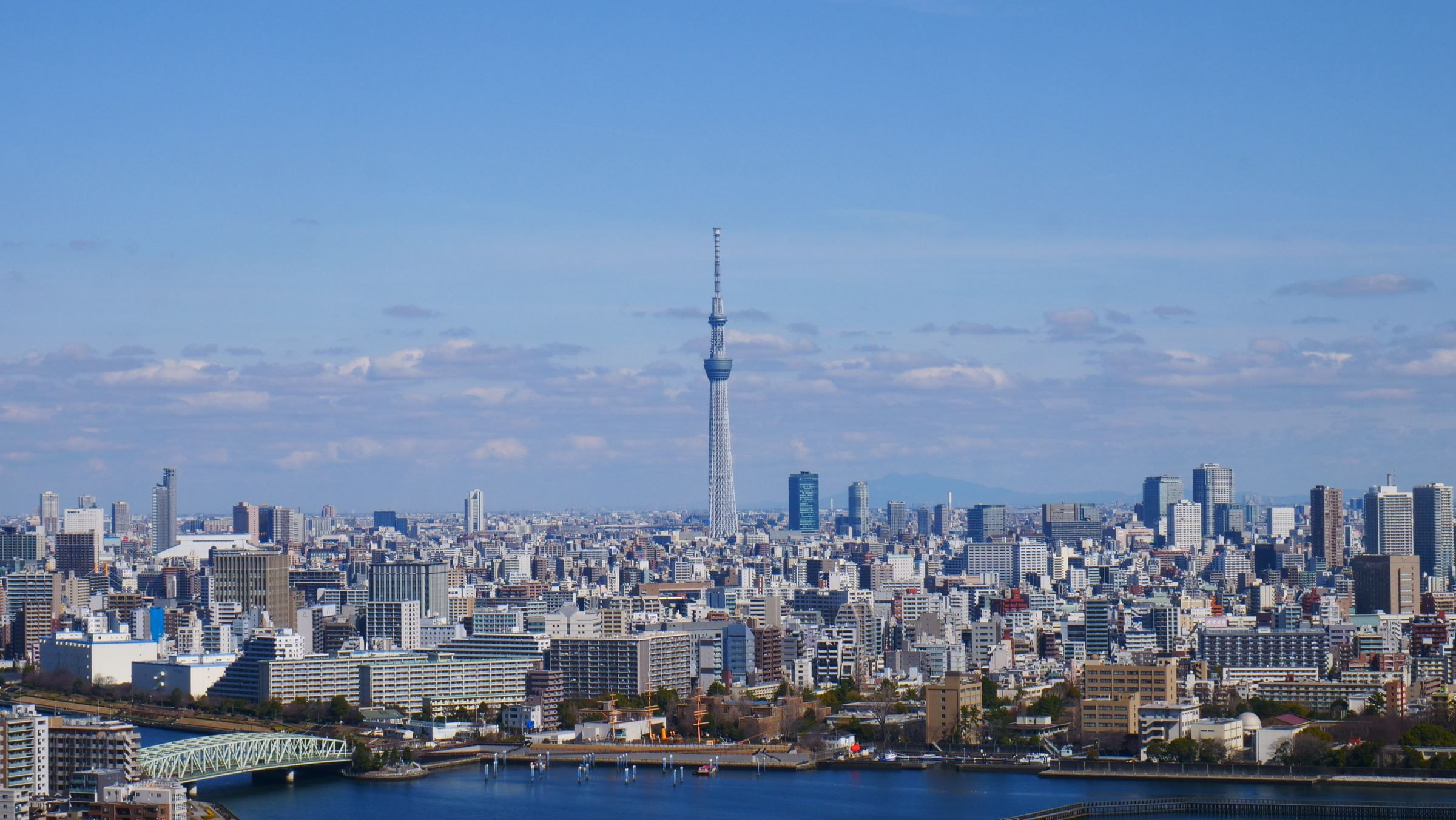 The Tokyo skyline and Skytree