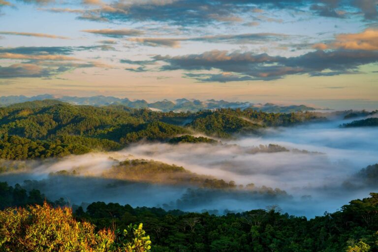 Misty mountains and forest at dawn in Topes de Collantes