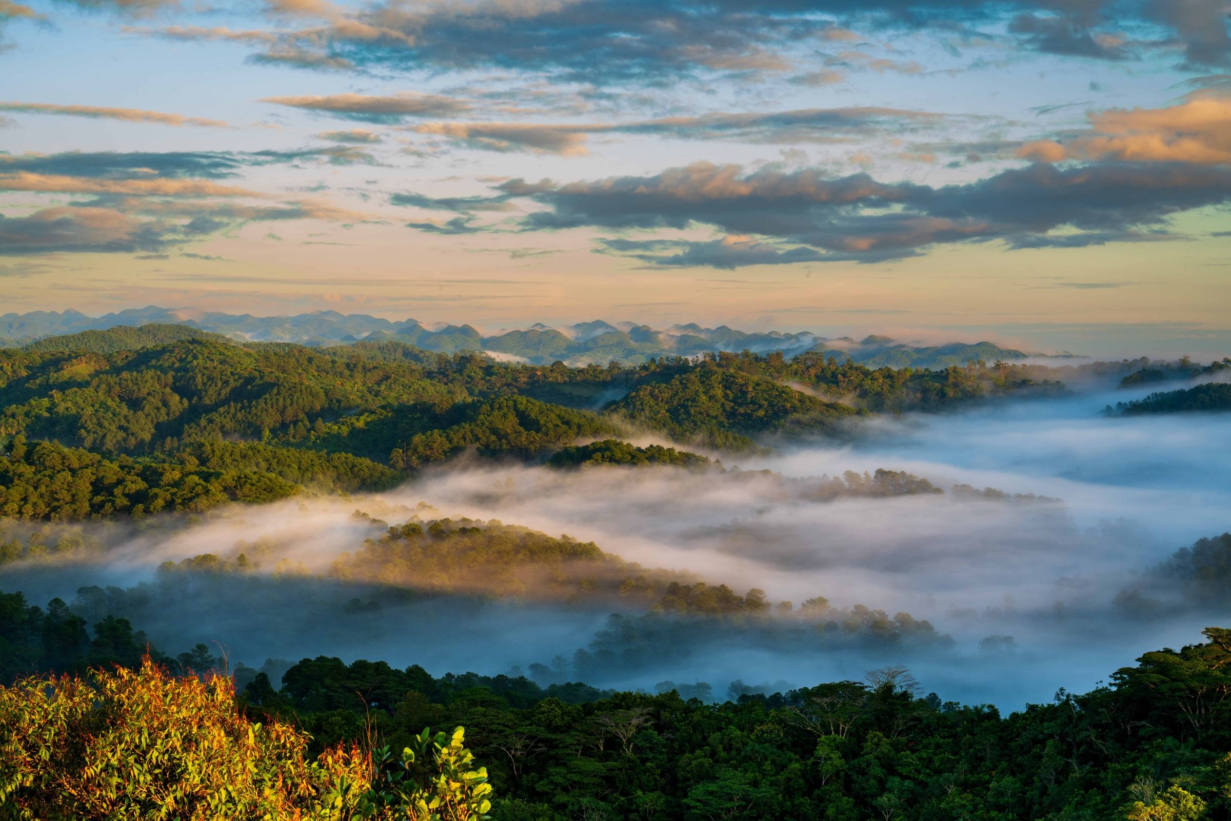 Misty mountains and forest at dawn in Topes de Collantes