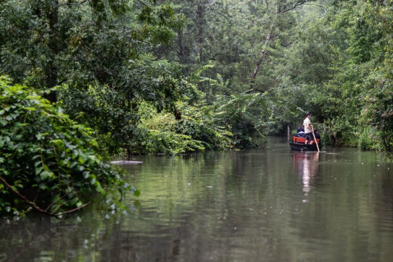 A boat on a jungle canal
