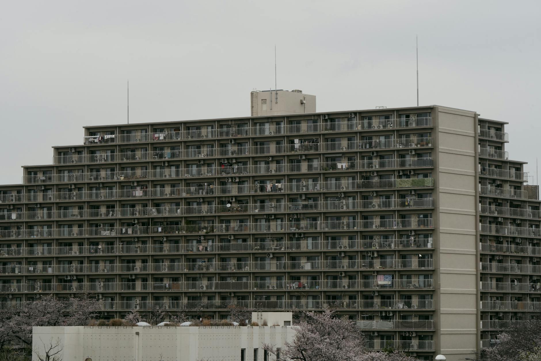 Cherry blossom in front of a high-rise building in Tokyo, Japan