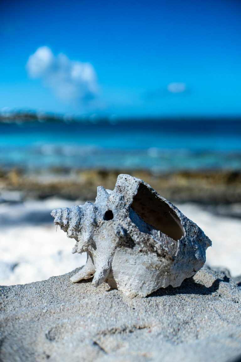 North & Middle Caicos