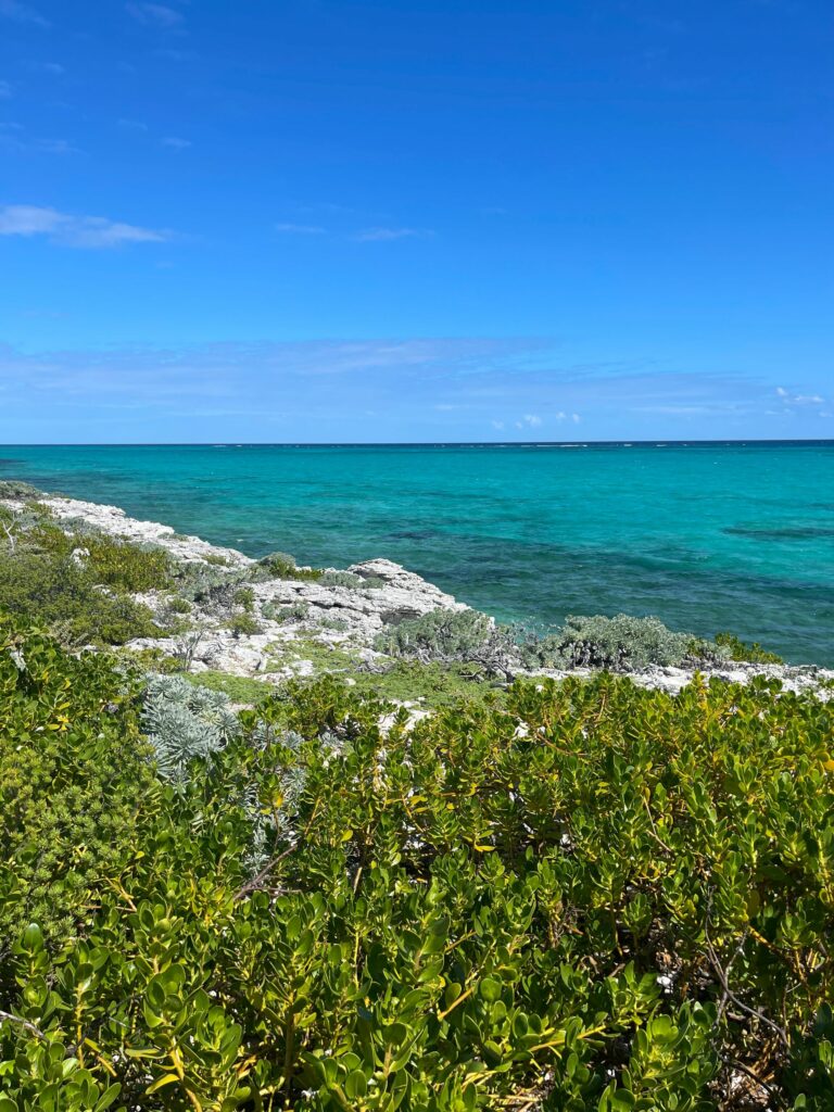 Grace Bay, Providenciales