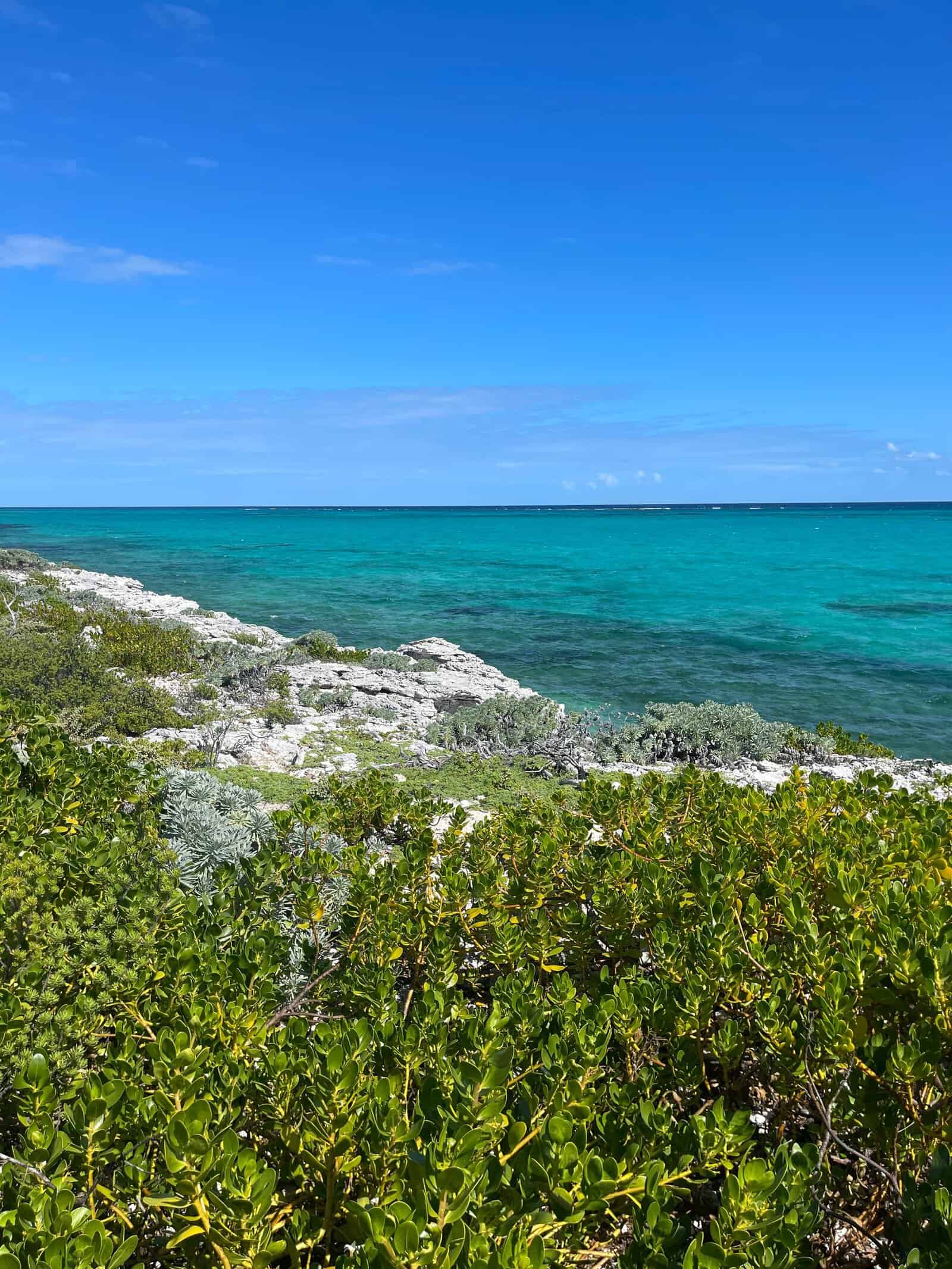 Clear turquoise water along the coast of the Caicos Islands