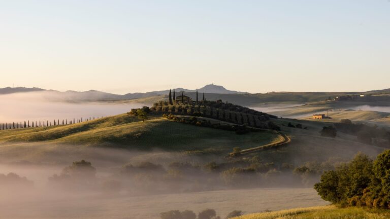 Misty Tuscan hills and cypresses at sunrise
