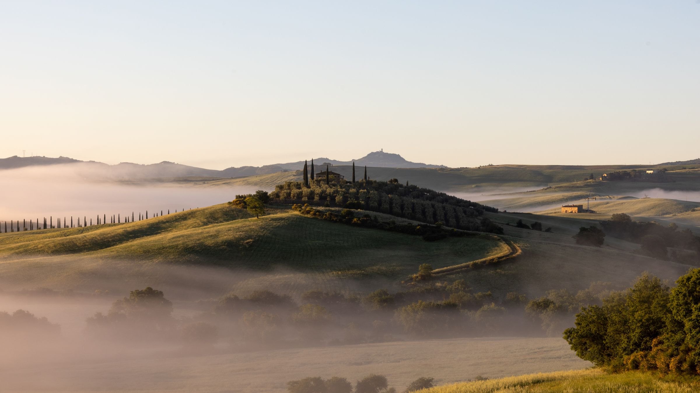 Misty Tuscan hills and cypresses at sunrise