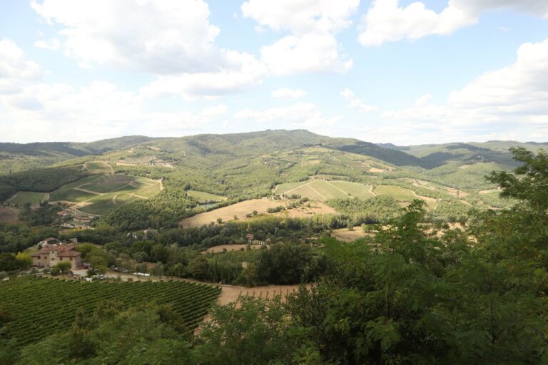 Rolling hills and vineyards in Tuscany