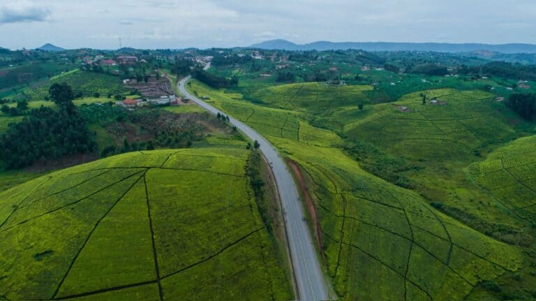 Green hills and a winding road in Uganda