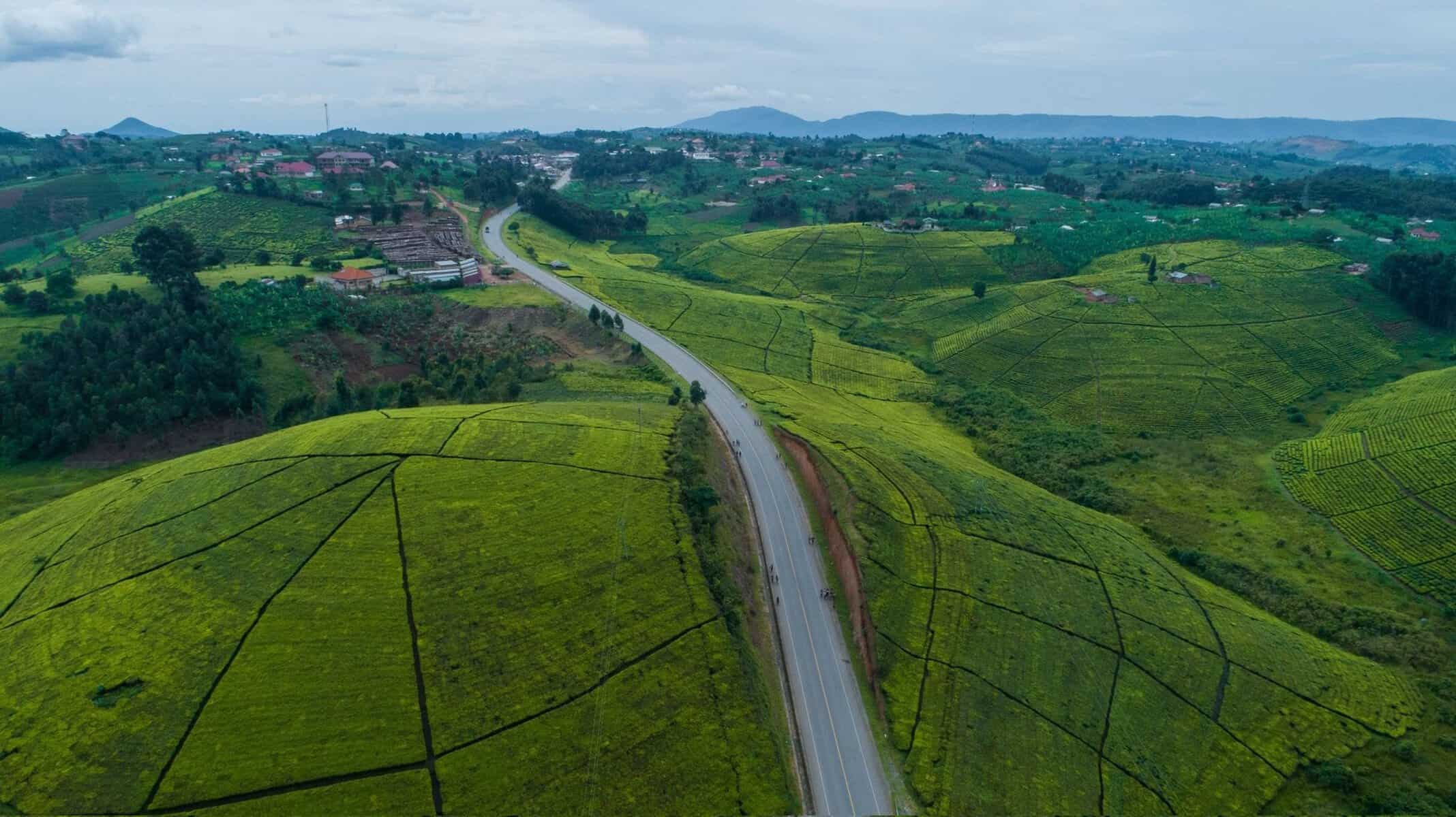 Green hills and a winding road in Uganda