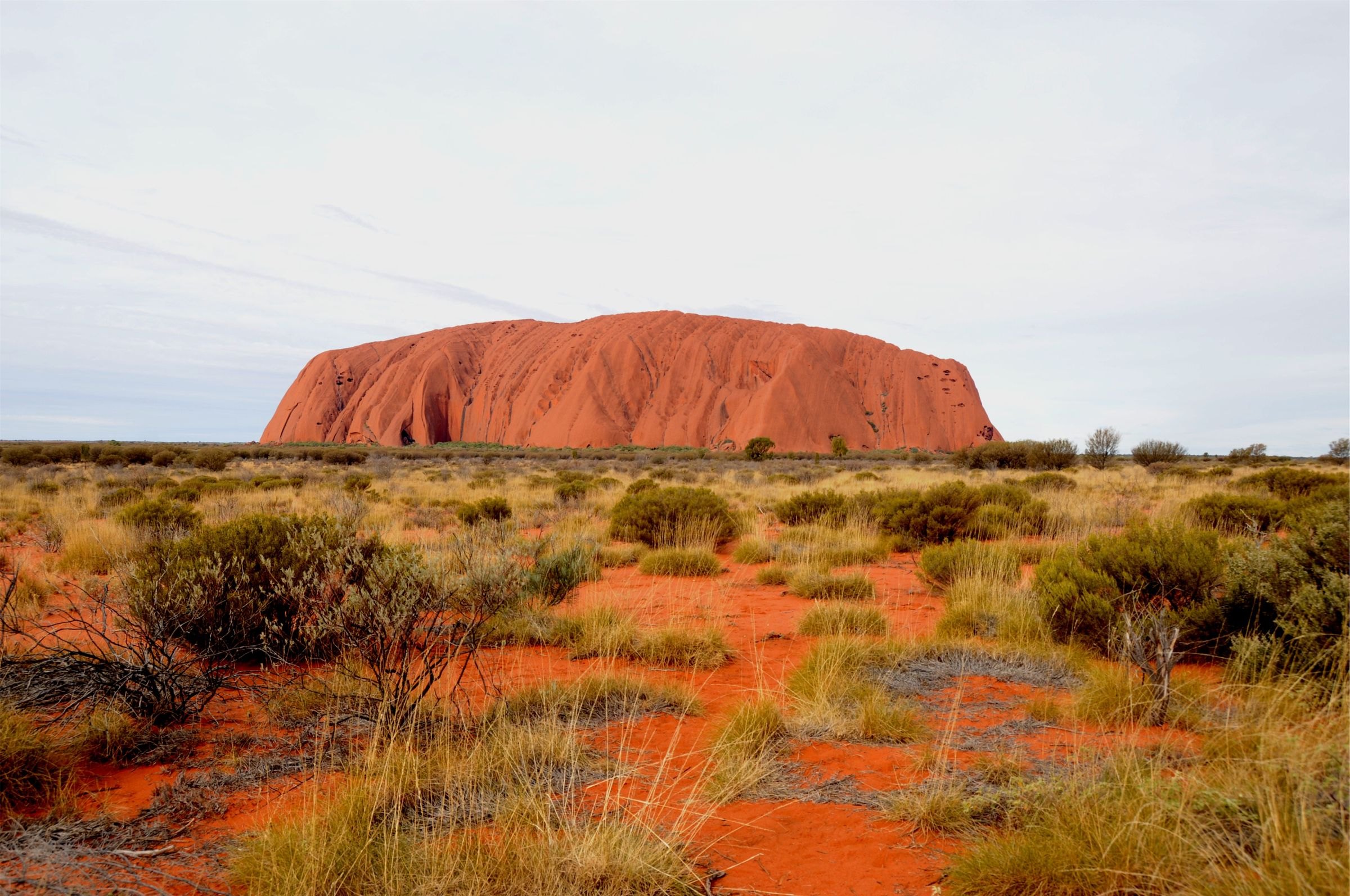 Uluru from the desert