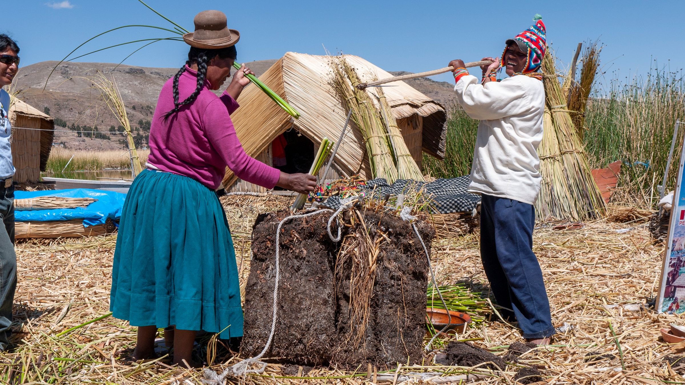 Uros people harvesting reeds on Lake Titicaca