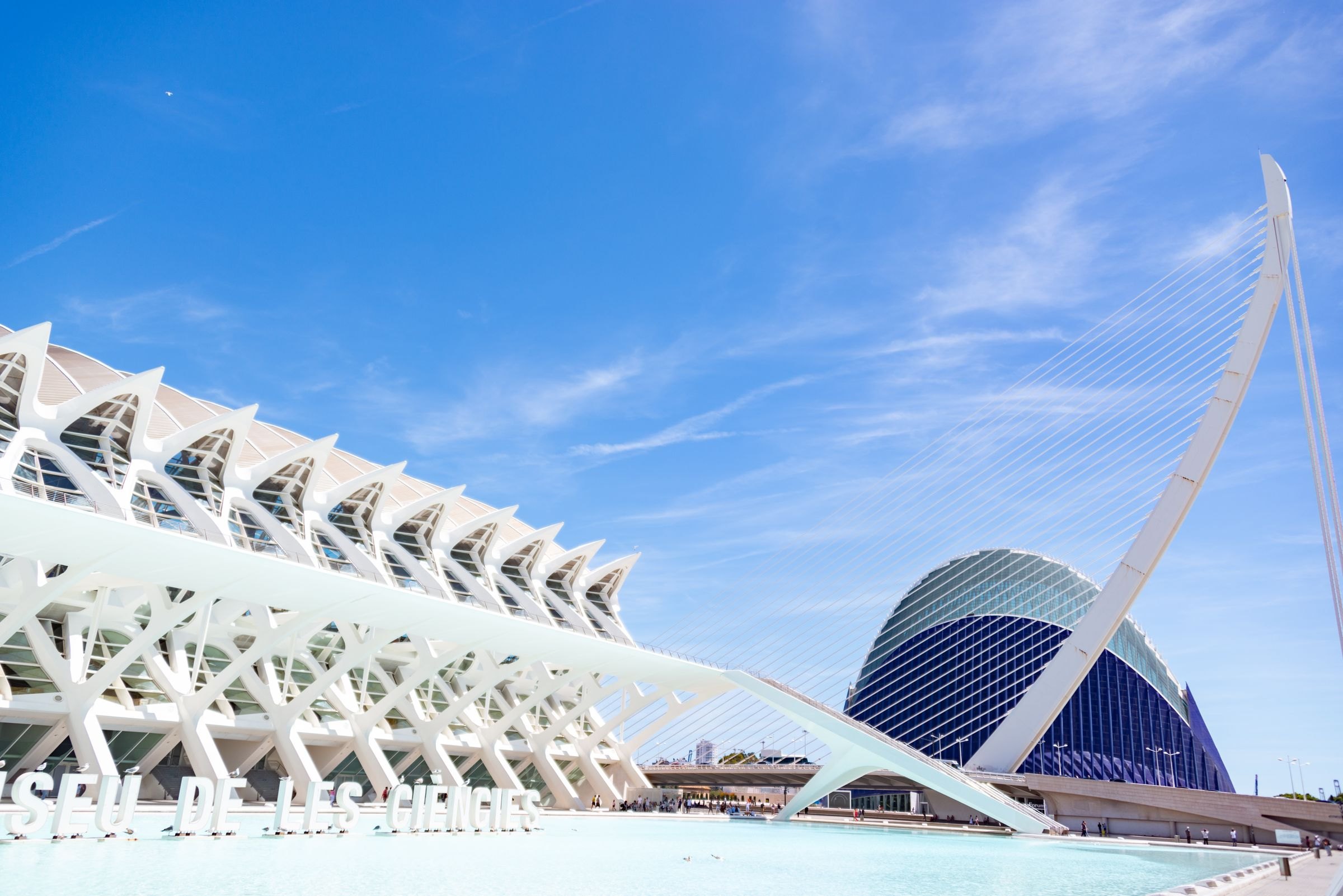 The City of Arts and Sciences in Valencia