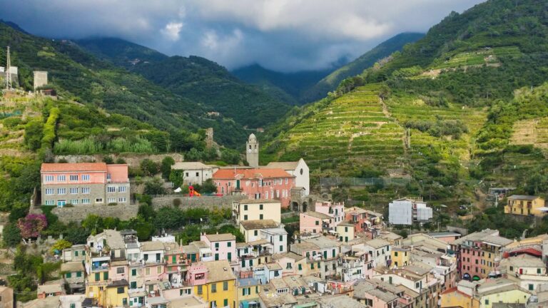 Vernazza among its terraced hills