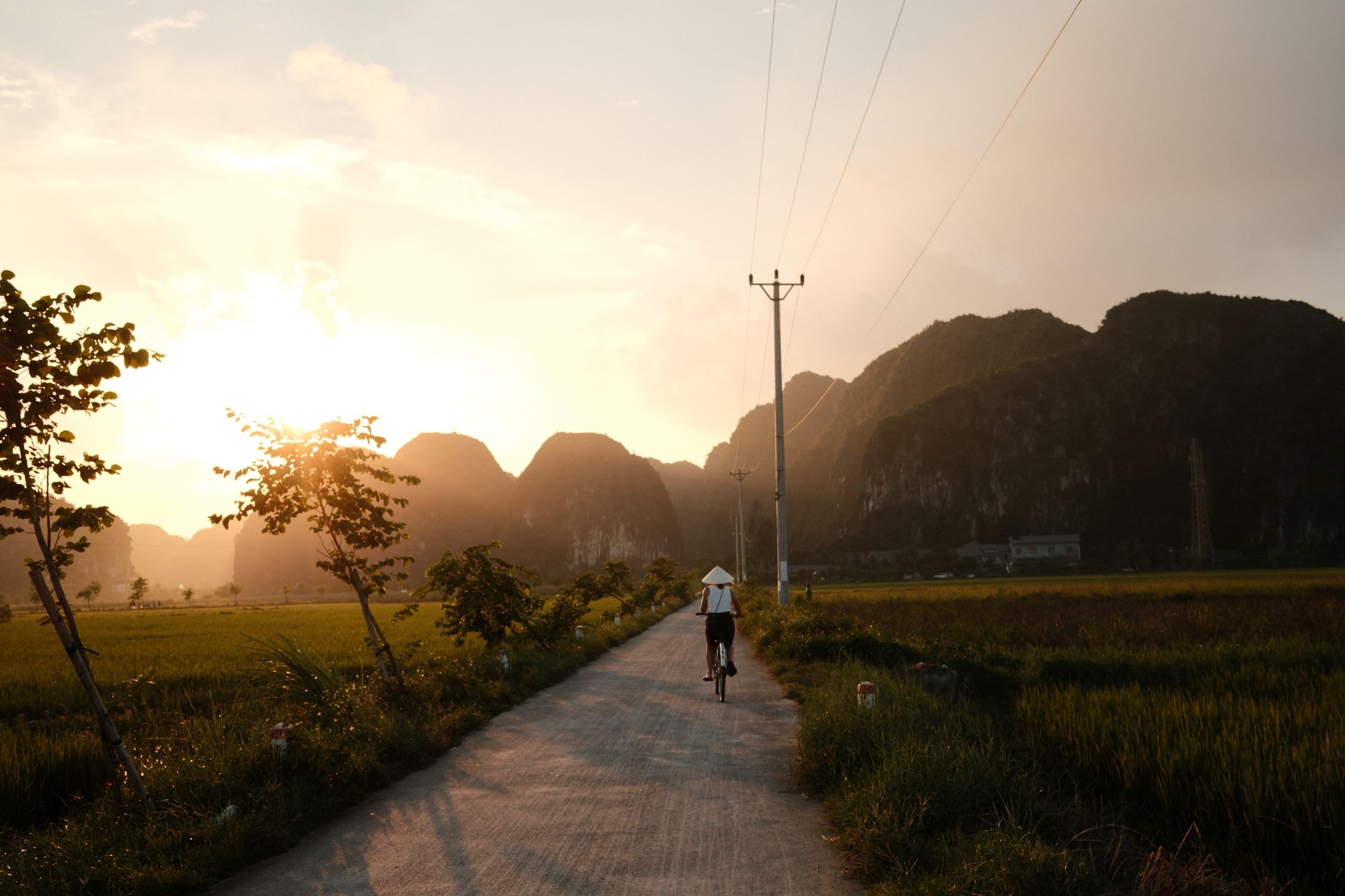 A cyclist on a rural road through rice fields at sunset