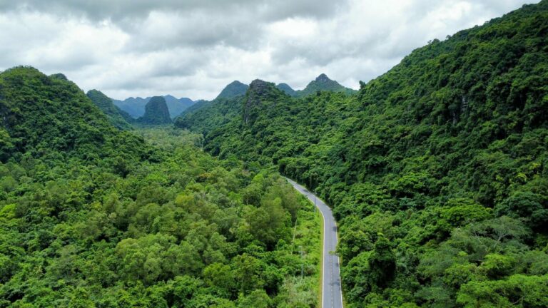 A road through forested hills in northern Vietnam