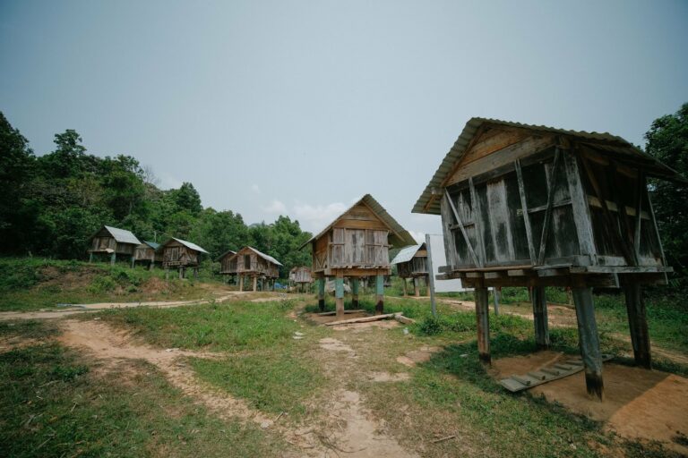 Wooden huts in a rural village