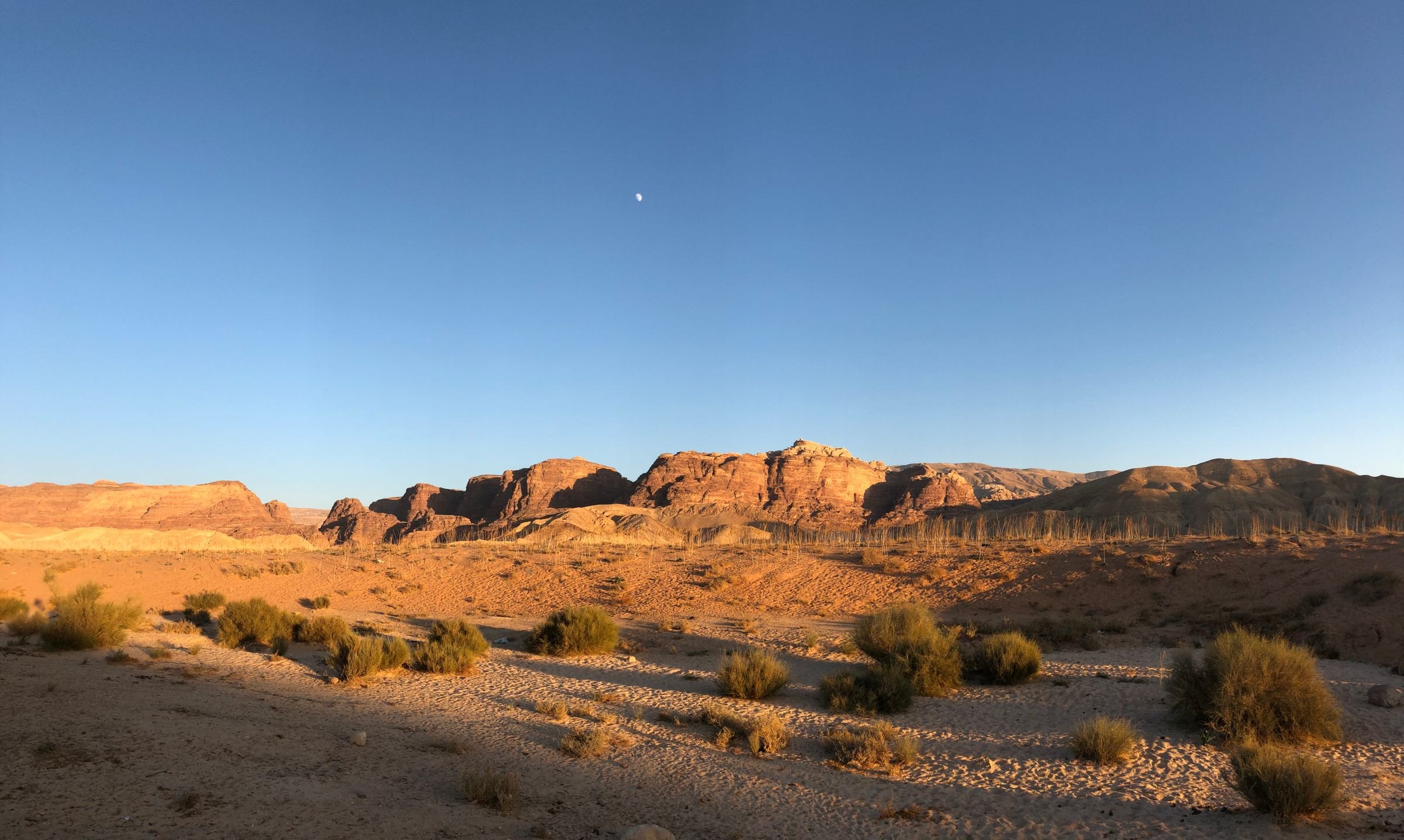 The desert landscape of Wadi Araba