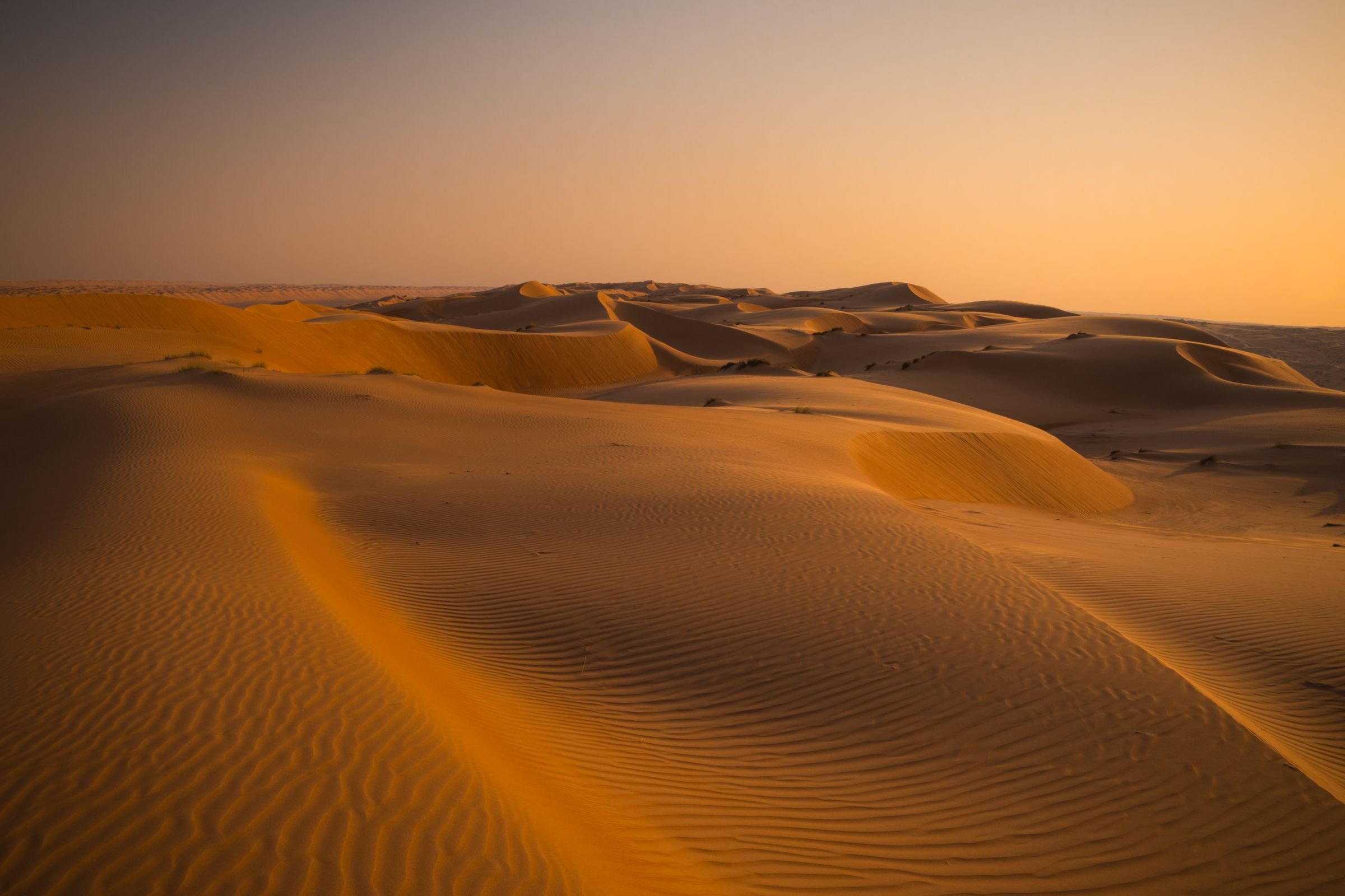 Golden dunes in the Wahiba Sands at sunset