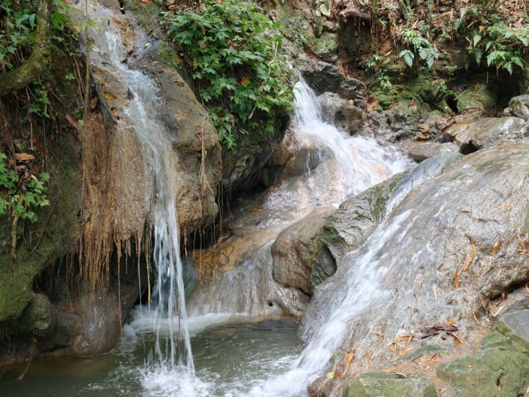 A waterfall in the rainforest