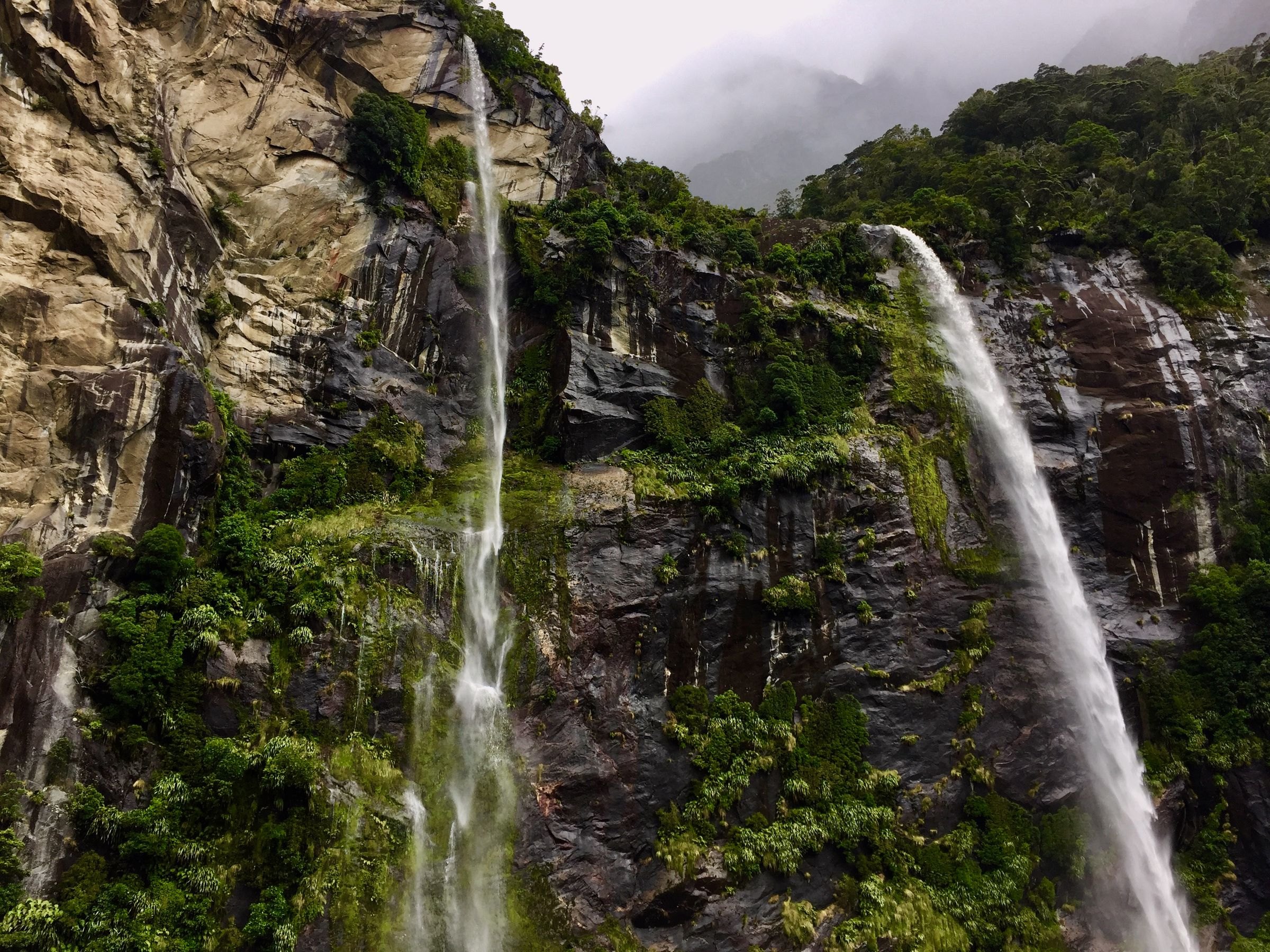 Waterfalls cascading over cliffs in Fiordland