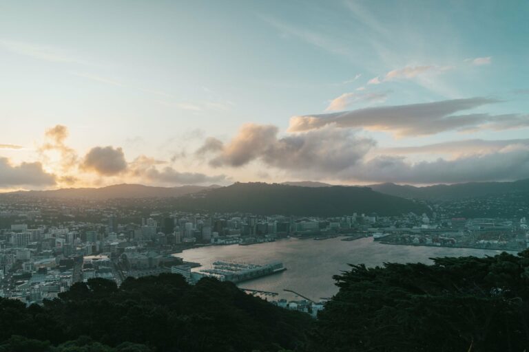 Wellington Harbour and the city at sunset