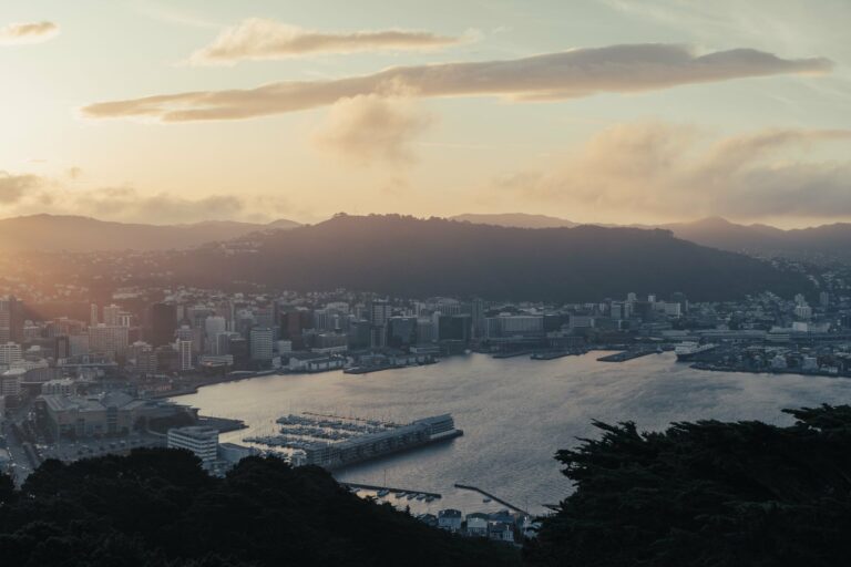 Wellington and its harbour at sunset