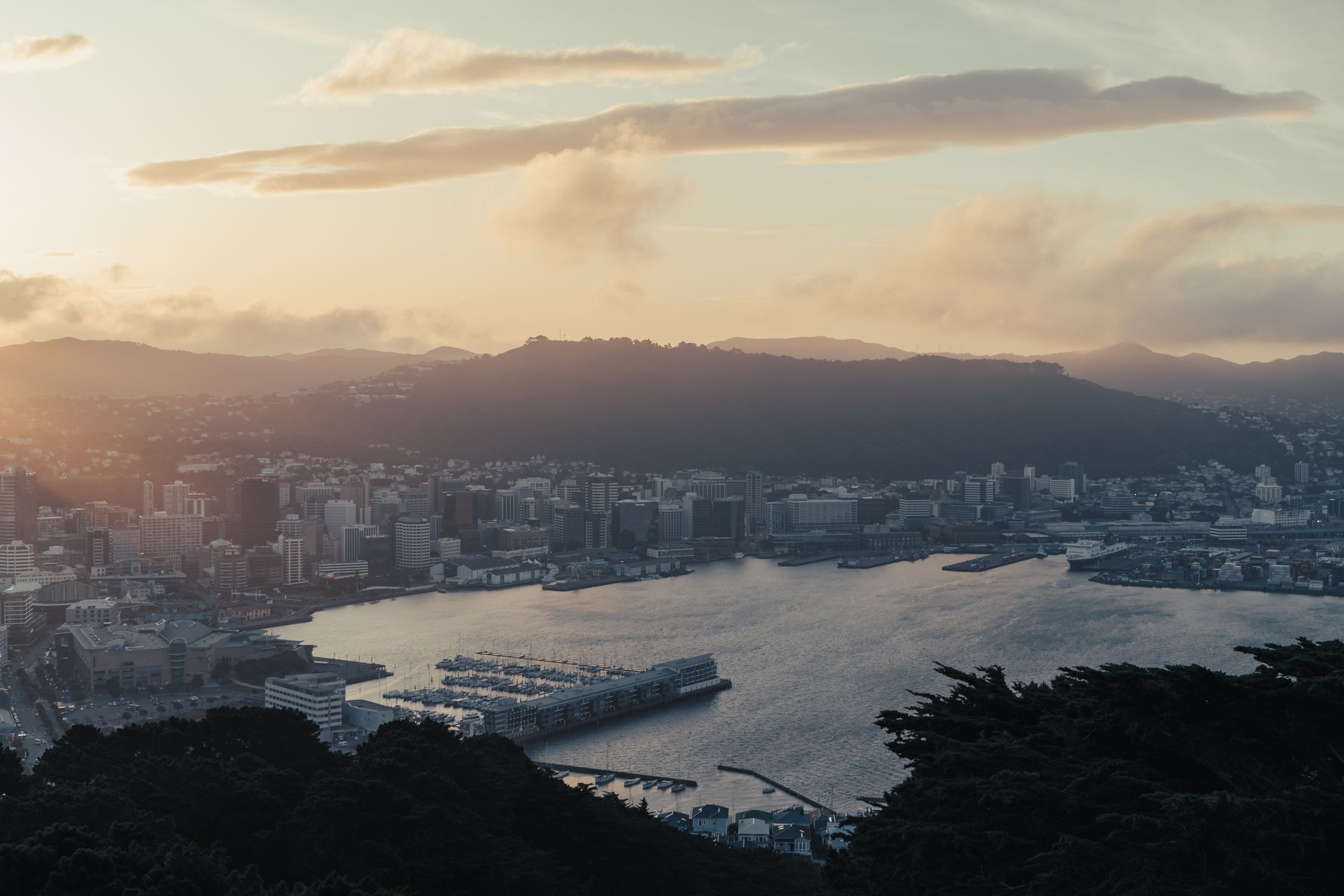Wellington and its harbour at sunset