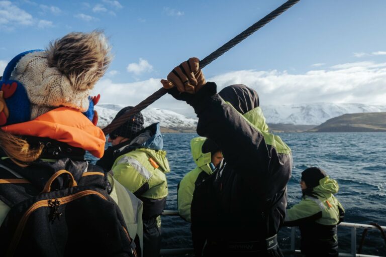 Travellers whale-watching in an Icelandic fjord