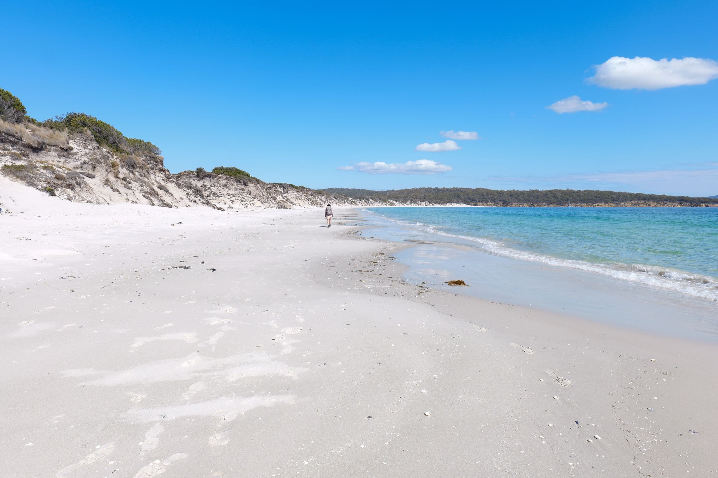A white sand beach in Tasmania