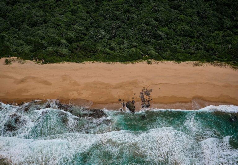 A beach on South Africa's coast
