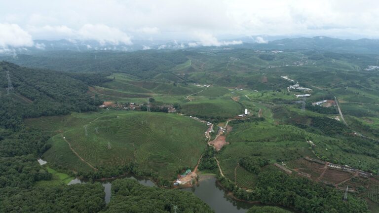 Fields and hills of Xishuangbanna from above