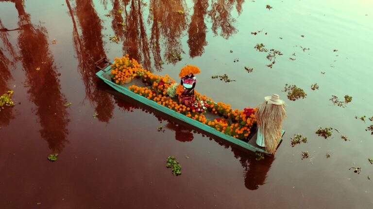 A trajinera decorated with flowers at Xochimilco