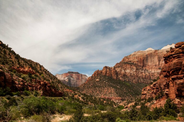 The red cliffs of Zion National Park